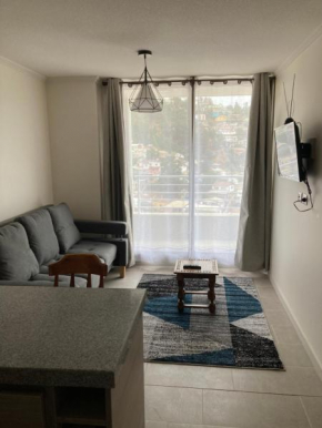 Departamento Viña del Mar